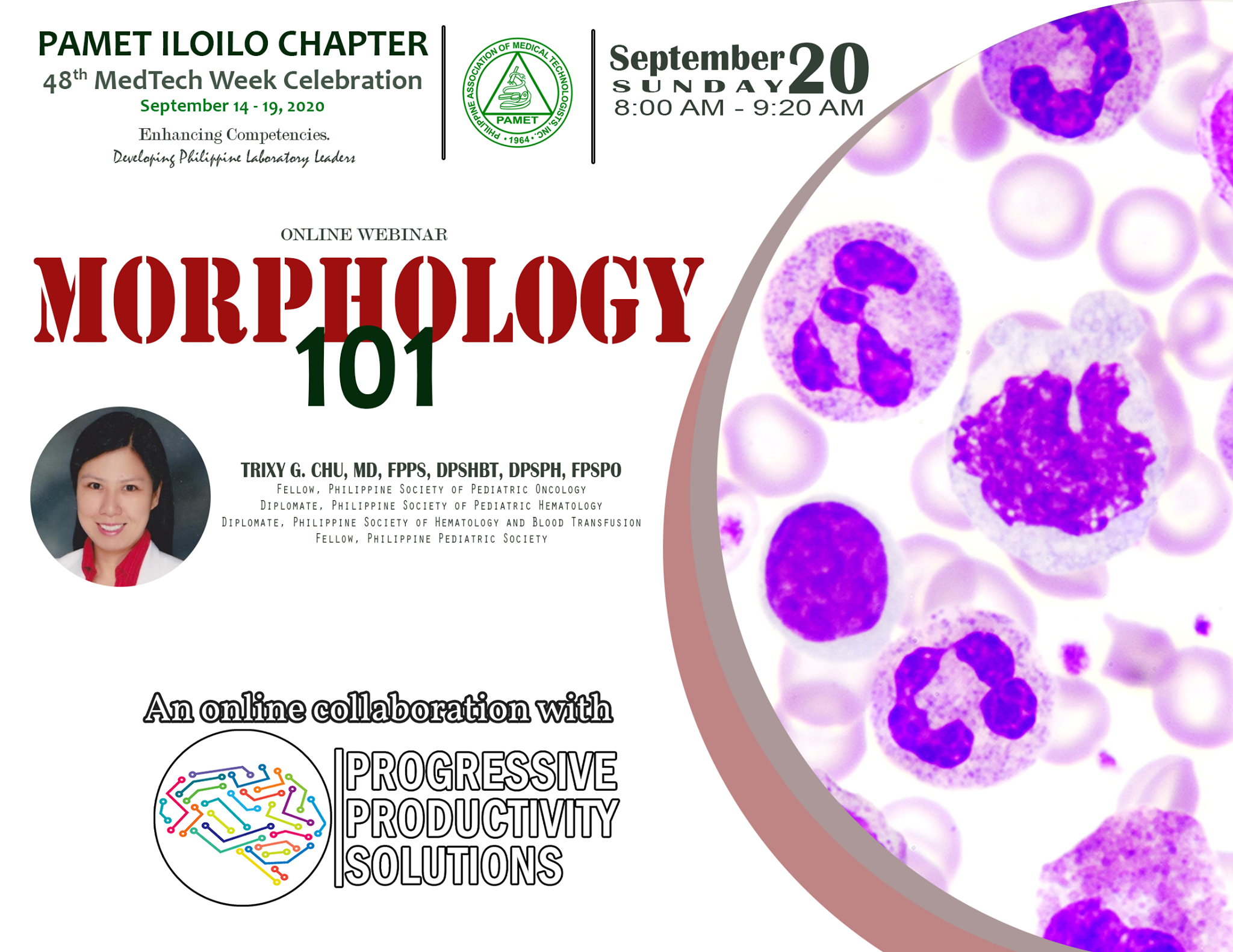 morphology-101